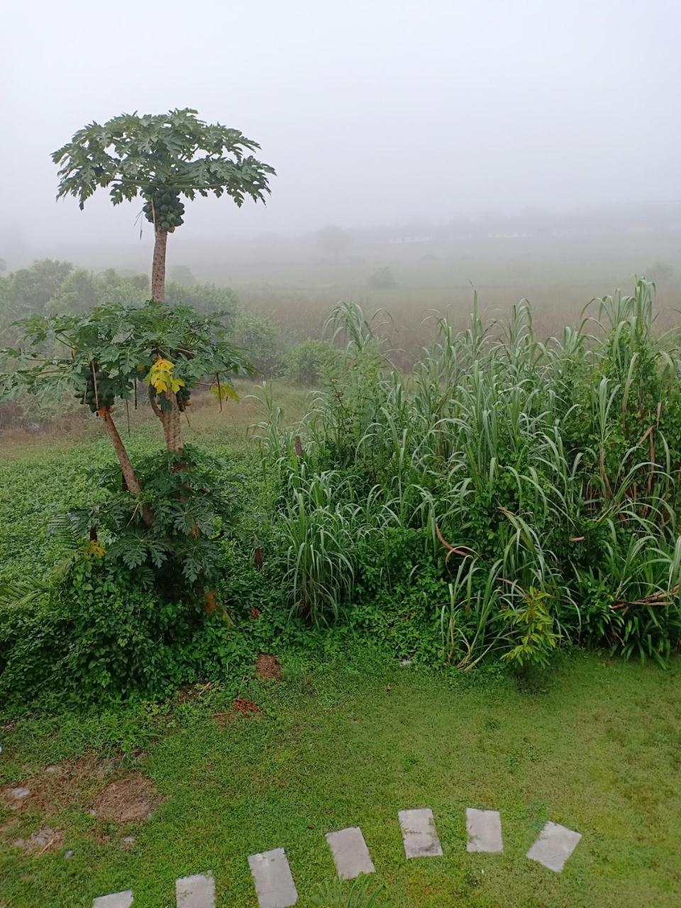 Greenfield Residence Prachinburi Bagian luar foto